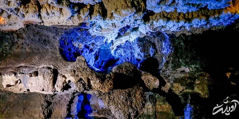 گل کلمیهای غار علیصدر